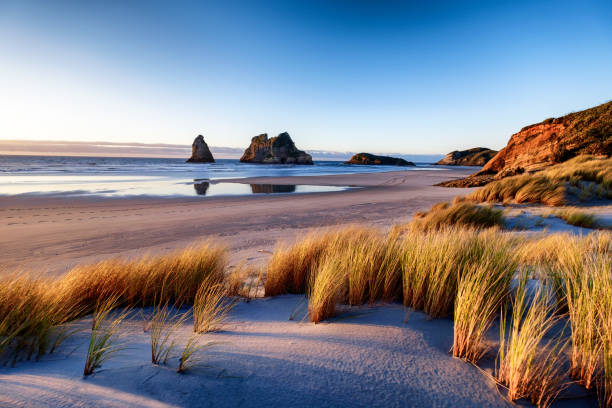 Uncover the Unmissable Kiwi Journeys
